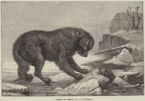 Erebus og terror